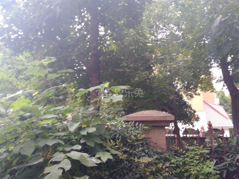 东海别墅9058774周边环境图12