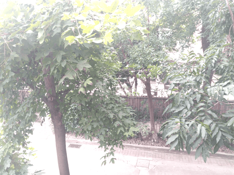 东海别墅9058774周边环境图15