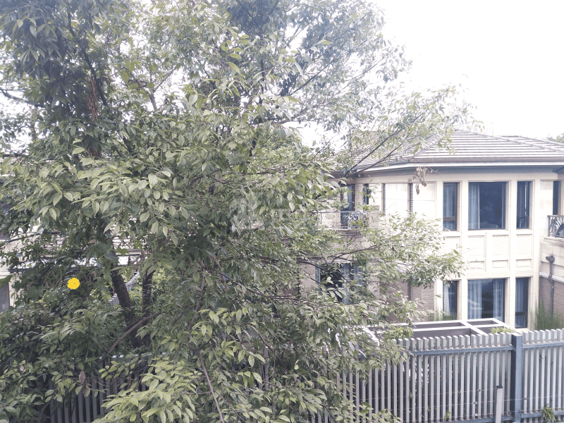 东海别墅9058774周边环境图13