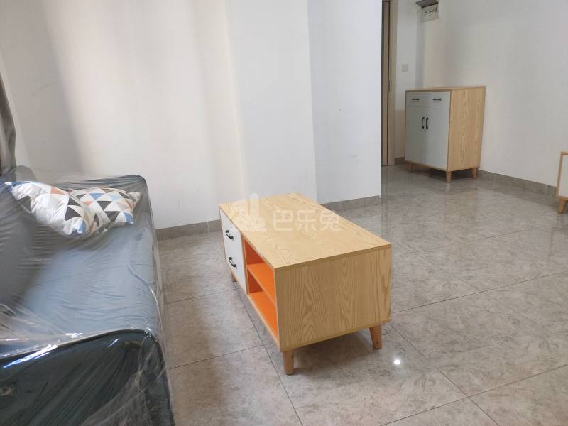 棠溪大围鸭乸塘西街22号9006255客厅图4