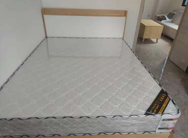 棠溪大围鸭乸塘西街22号 1室1厅1卫