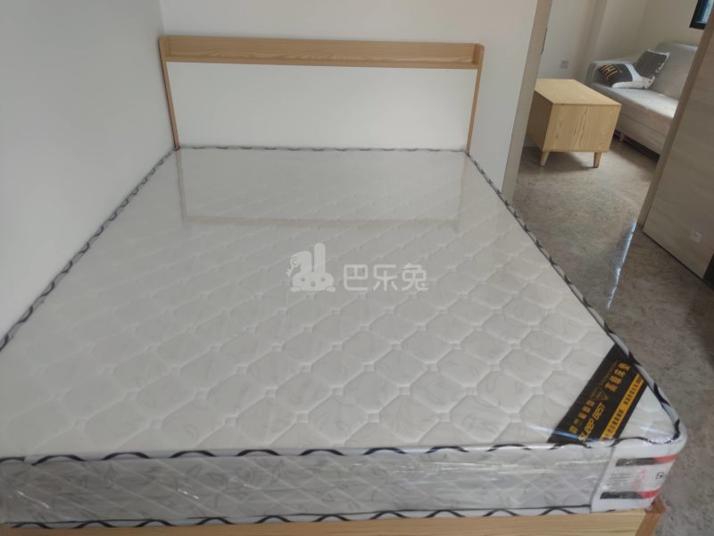 棠溪大围鸭乸塘西街22号9006259卧室图2