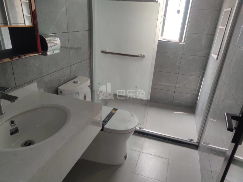 棠溪大围鸭乸塘西街22号9006259卫生间图5
