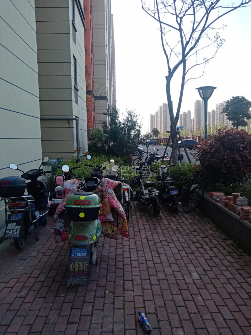 松南城芙蓉苑9007819周边环境图9