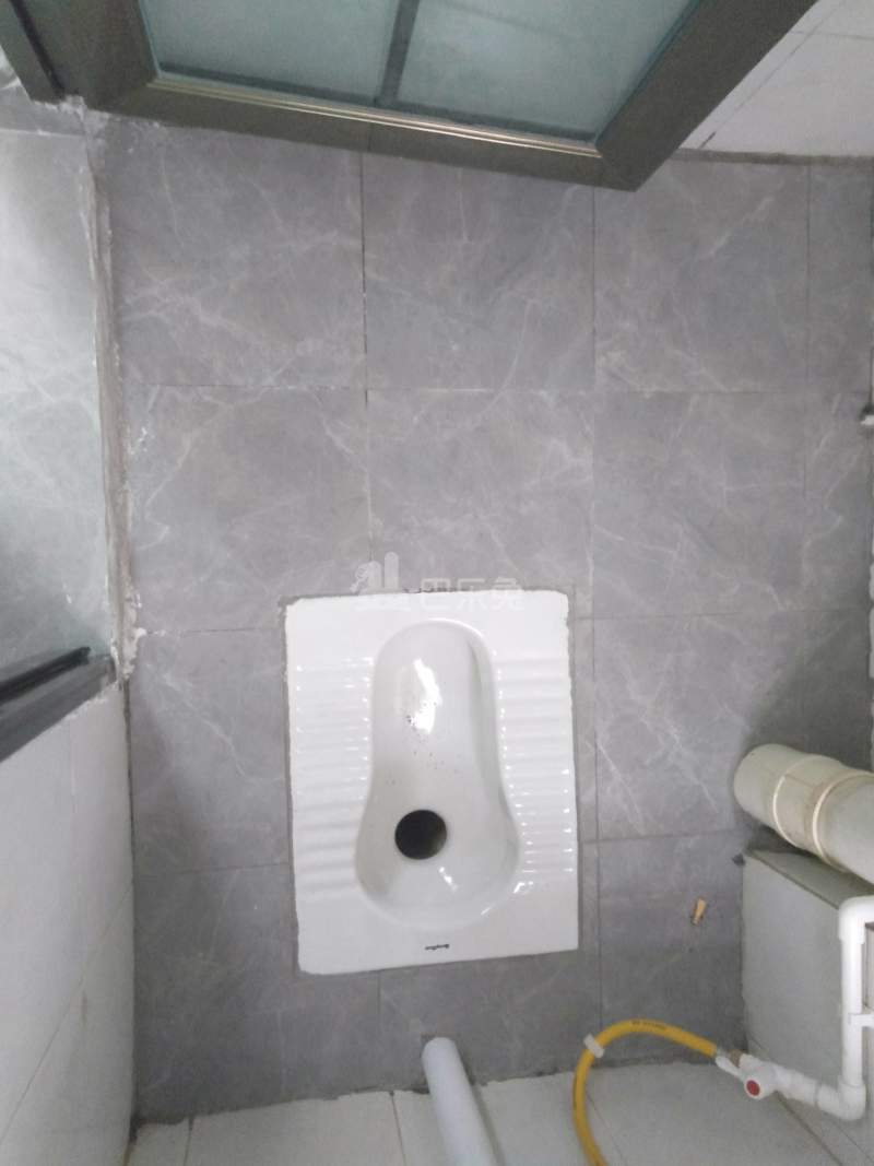 前进村宦溪北边街9号9009162卫生间图6