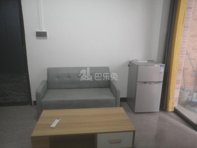 黄村石桥头下八巷七号9038259客厅图4