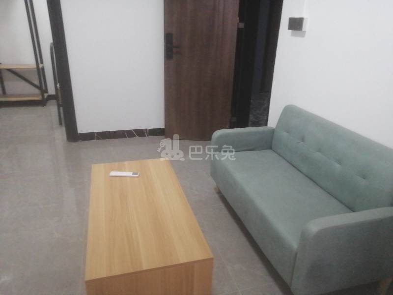 黄村石桥头下八巷七号9038259客厅图6