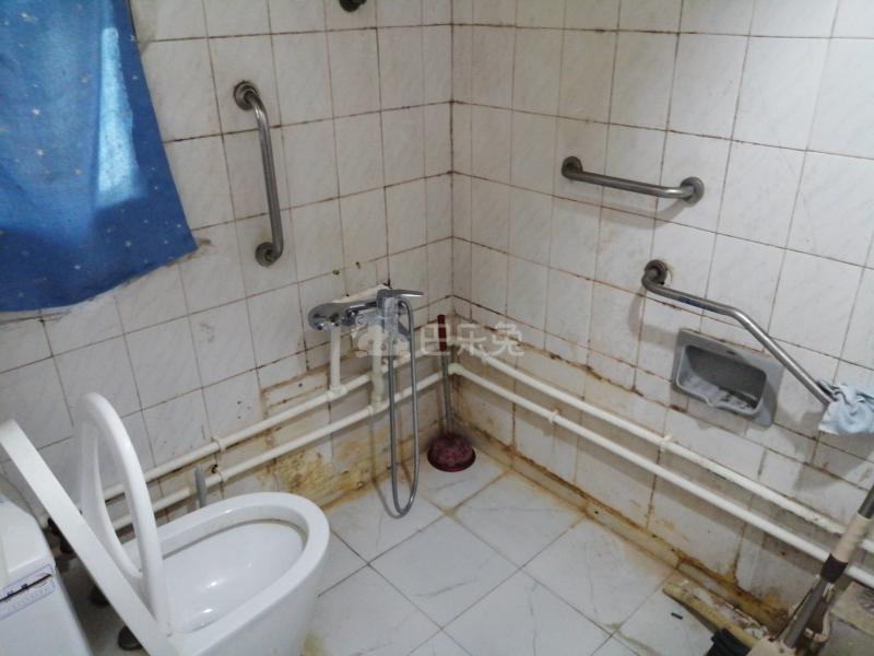 东泉小区（西块东泉路105弄）9113577卫生间图8