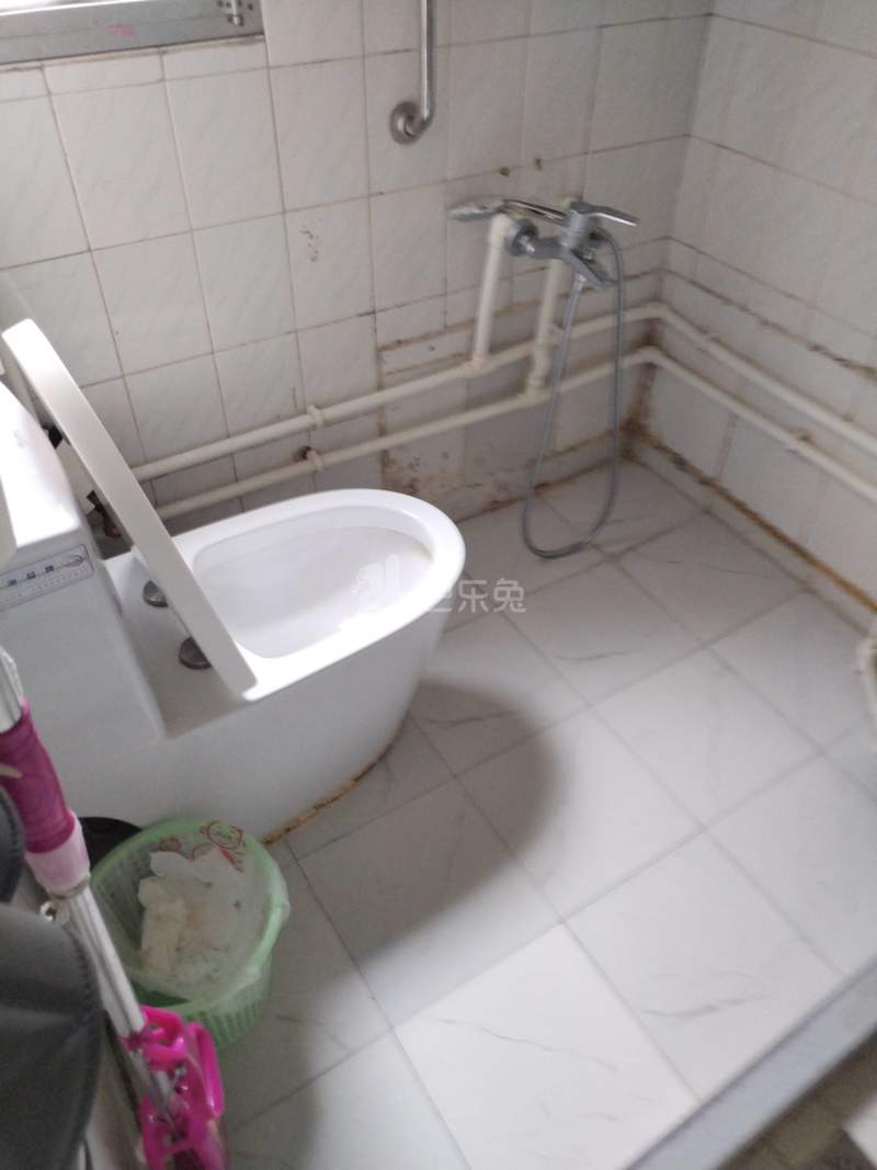 东泉小区（西块东泉路105弄）9113577卫生间图7