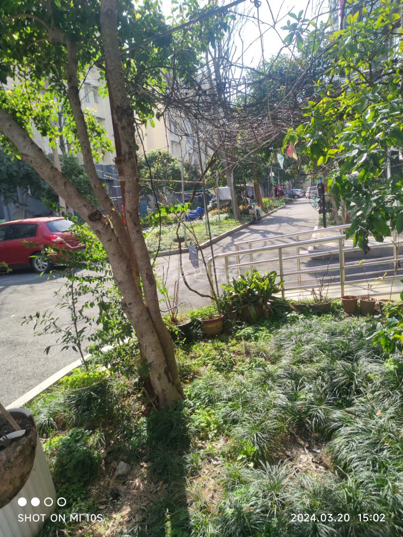 景芳三区9135958周边环境图6