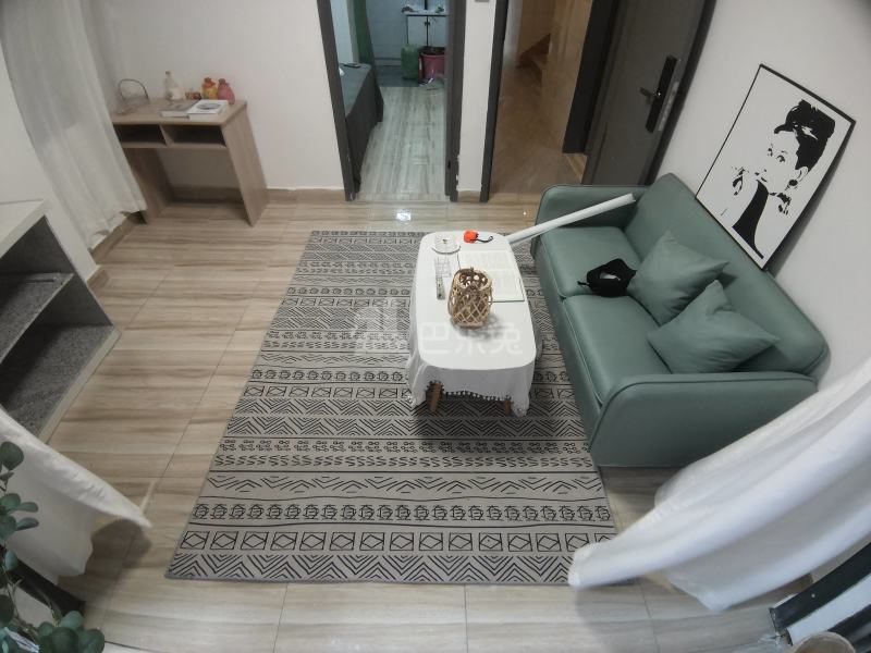 彬彬公寓（大山村祥和路帮甲坊二巷8号）9136641客厅图7