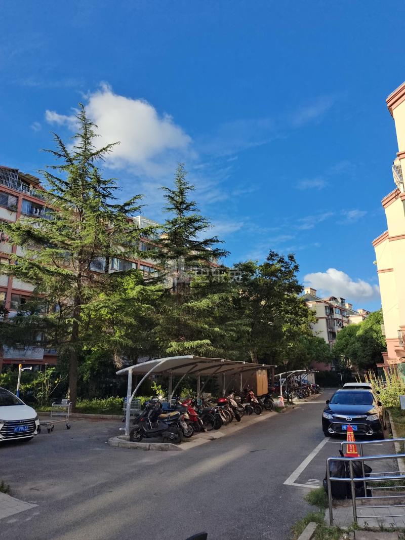 聚龙家园9176692周边环境图14