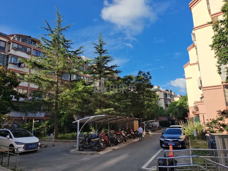 聚龙家园9176692周边环境图13