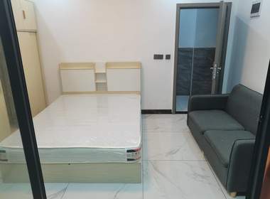 迎龙坊大街18号之四 1室0厅1卫