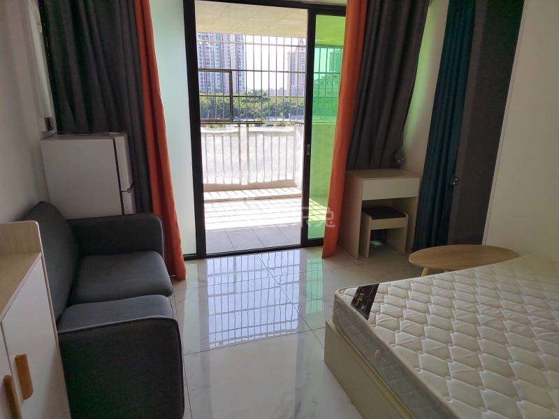 迎龙坊大街18号之四9170608客厅图4