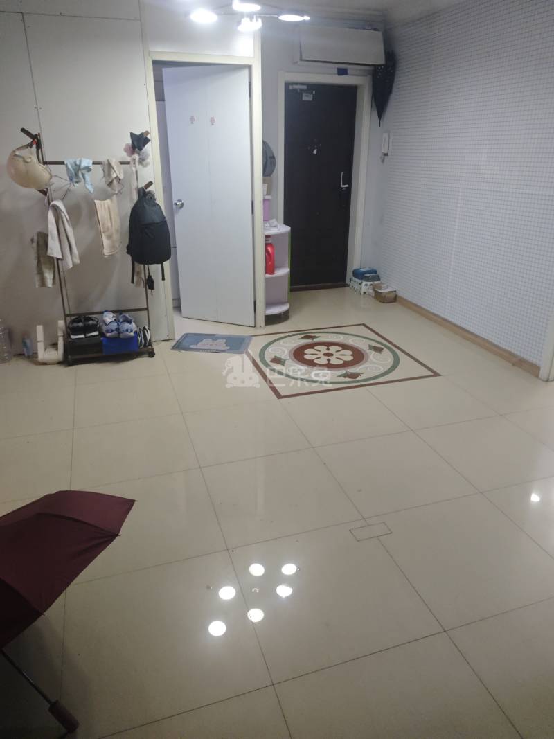 海杨公寓9175443客厅图5