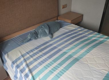 朝晖七区 1室1厅1卫