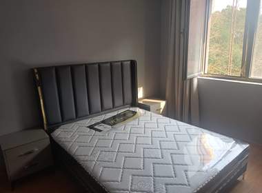 中环一号二期琉樽尚品（真大路333弄） 1室1厅1卫