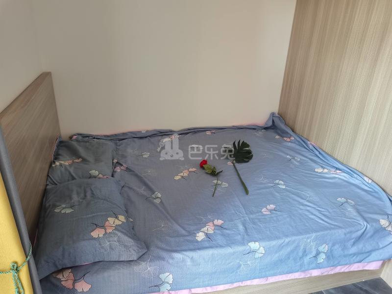 嘉顺公寓（大山村二夹坊前街六巷8号）9217122卧室图2