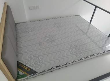 珠村东横四路1号之1A栋（七夕公寓） 1室0厅1卫