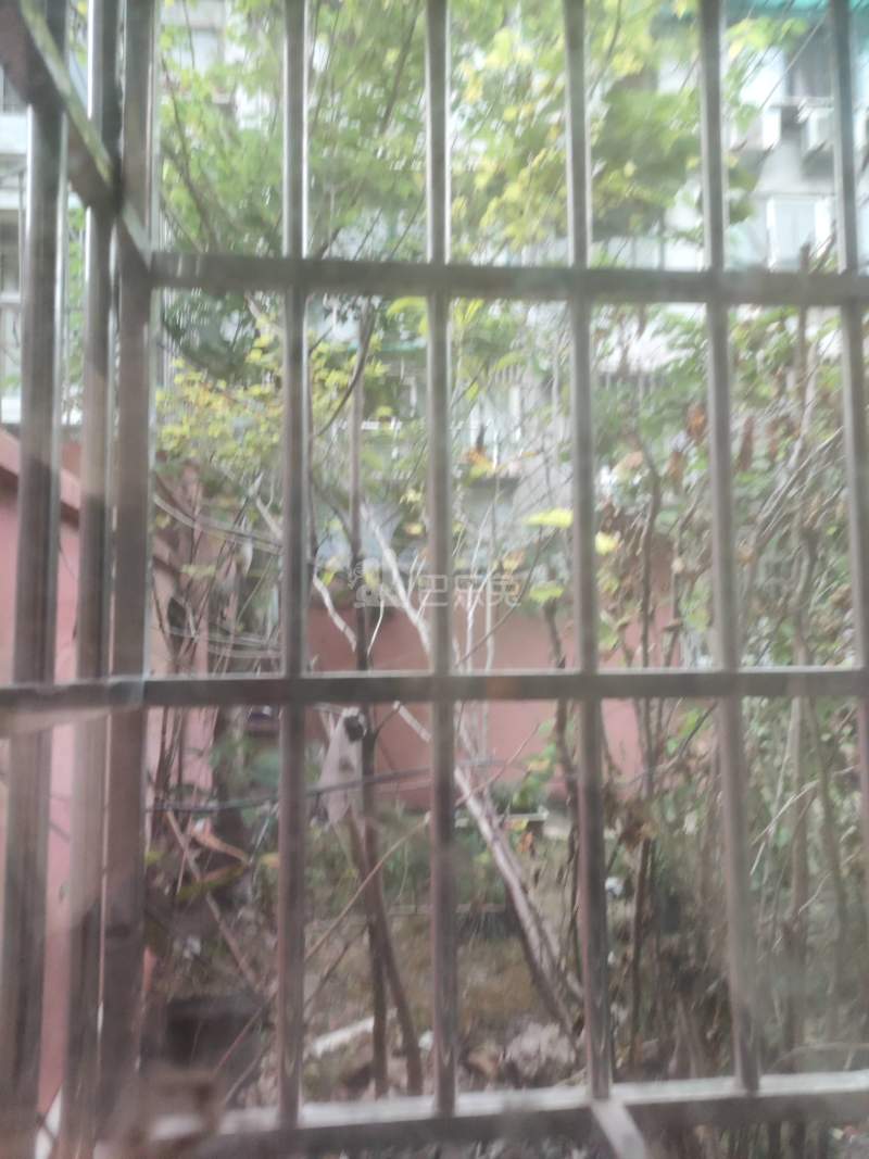 旗开公寓9229869周边环境图7