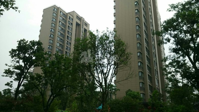 中建锦绣天地3780240周边环境图13