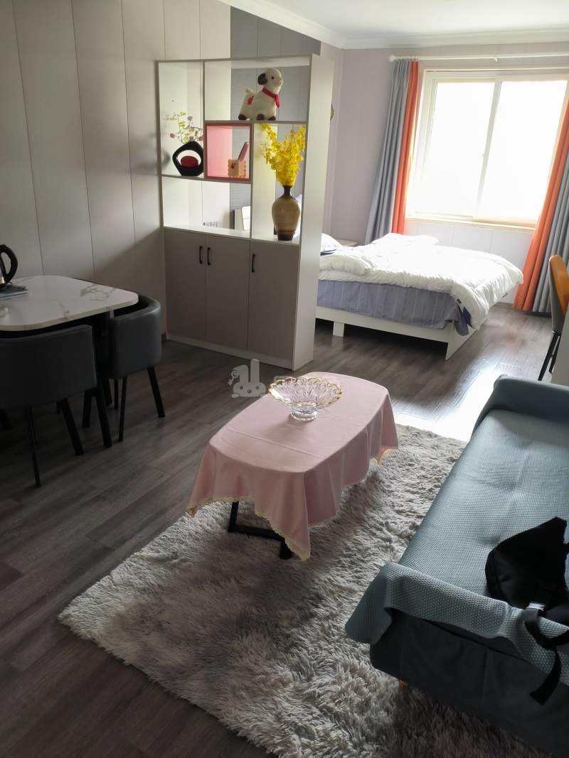 三宝花苑9284207客厅图4