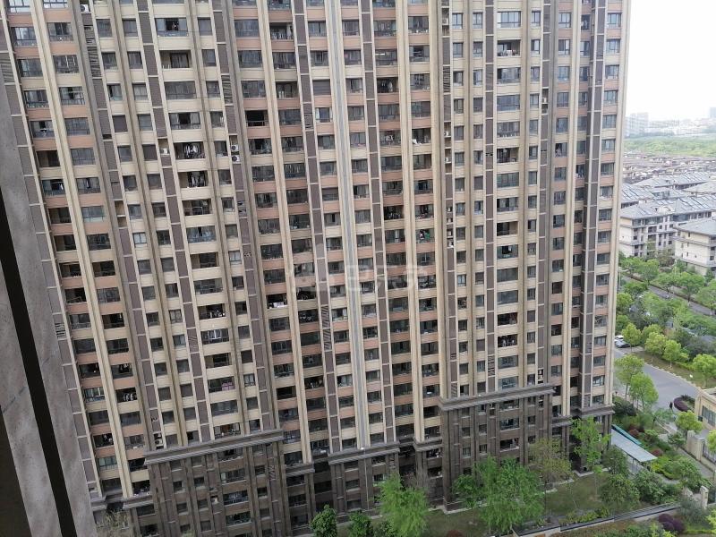 滨江裕花园9286364周边环境图12