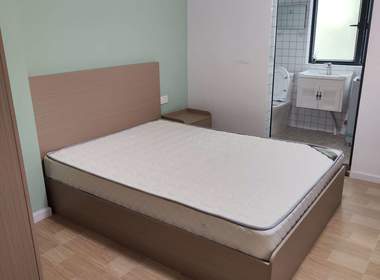 麦窜花生里（A栋） 1室0厅1卫