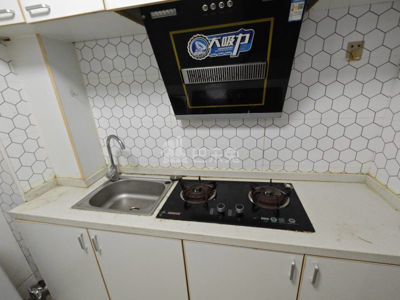 龙湖郦城（蓝湖郡）9385292厨房图4