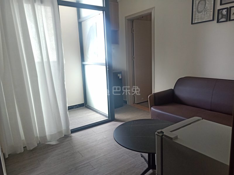 植村南大路247-3号9410591客厅图4