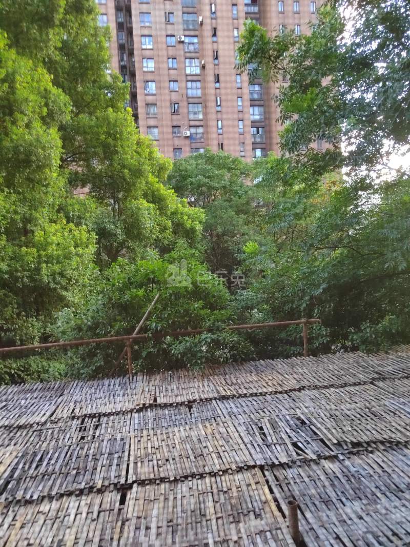 复地连城国际9426635周边环境图6