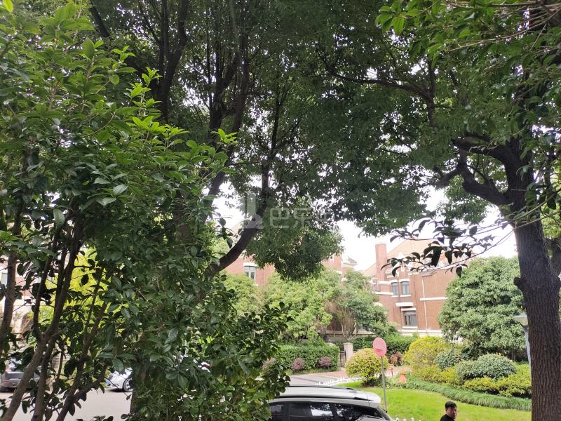 尼德兰北岸9432664周边环境图12