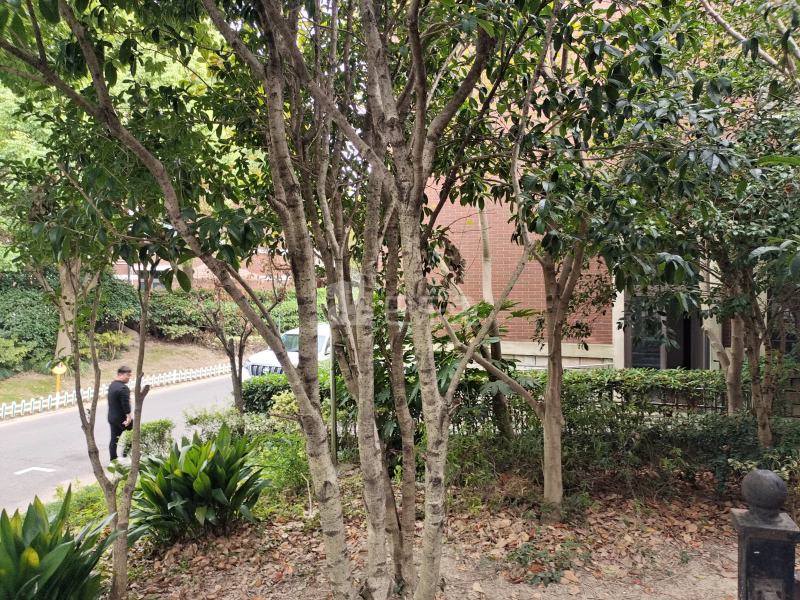 尼德兰北岸9432664周边环境图13