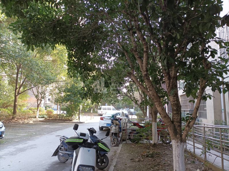 嘉城新航域（华江嘉城）9451455周边环境图8