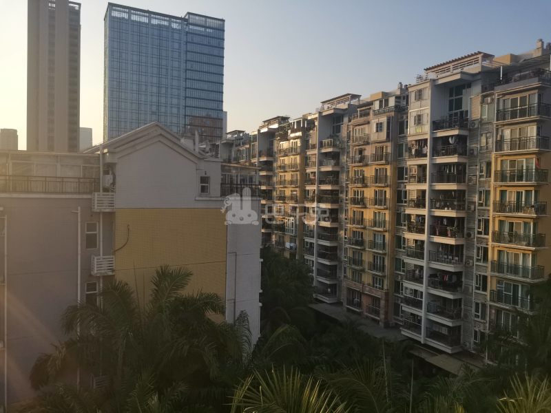 阳光棕榈园9456604周边环境图9