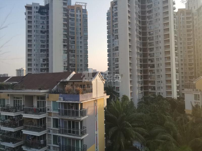 阳光棕榈园9456604周边环境图10