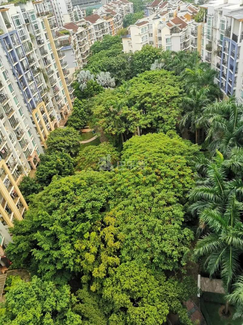 阳光棕榈园9456604周边环境图11