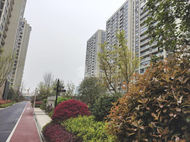 长虹南苑9524033周边环境图7