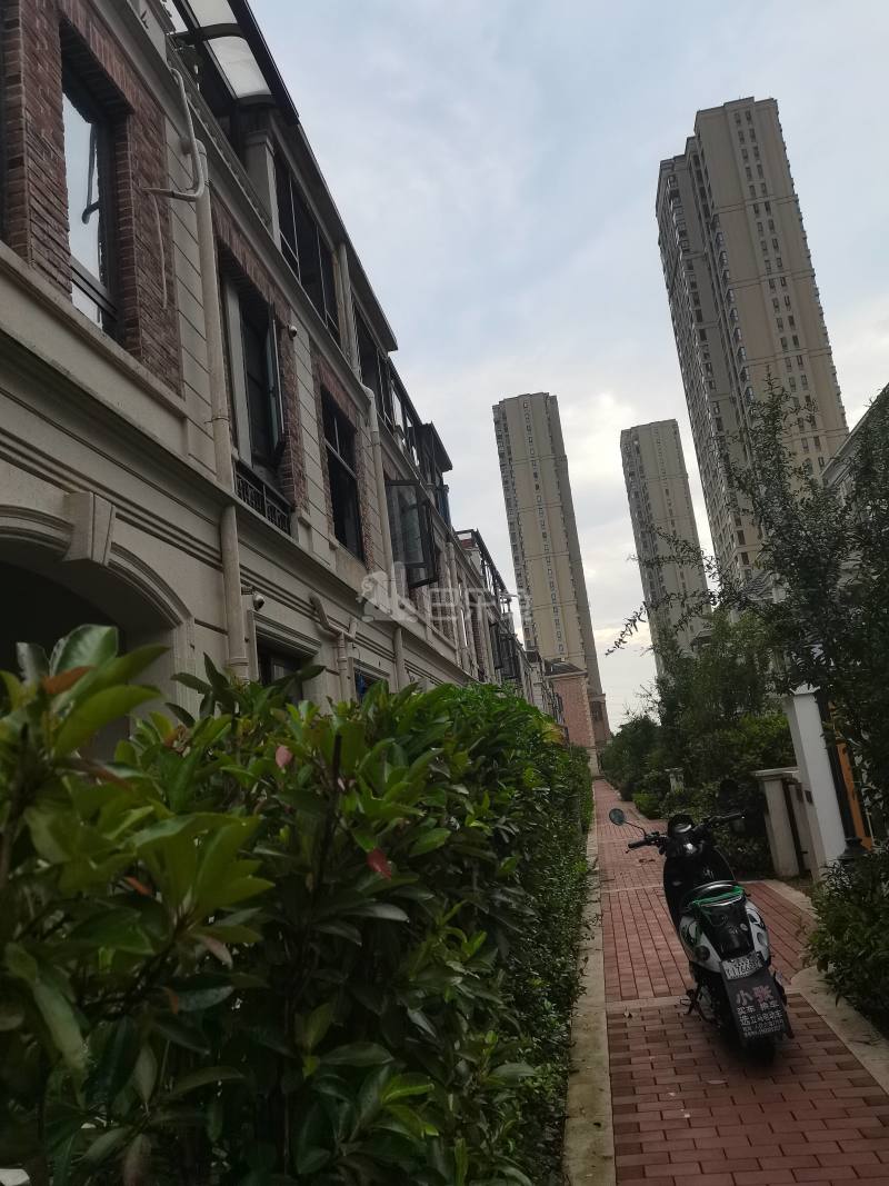 九龙仓君廷9527766周边环境图5