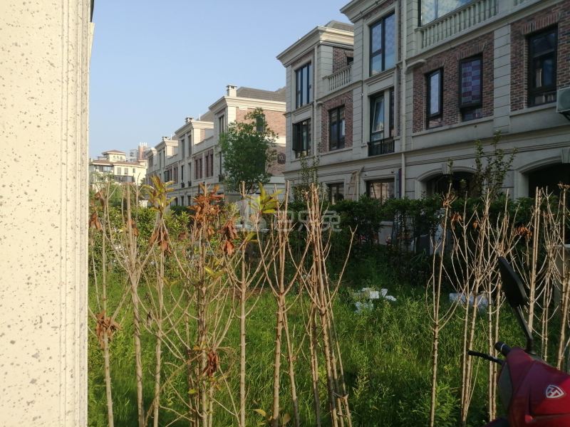 九龙仓君廷9527783周边环境图6