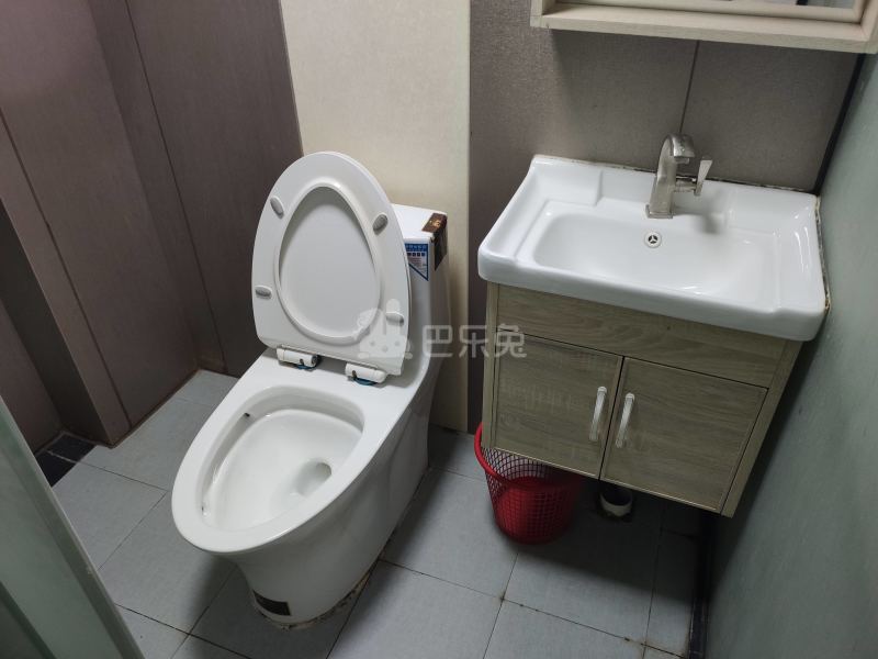 番禺员岗村西河坊大街28号9537152卫生间图7