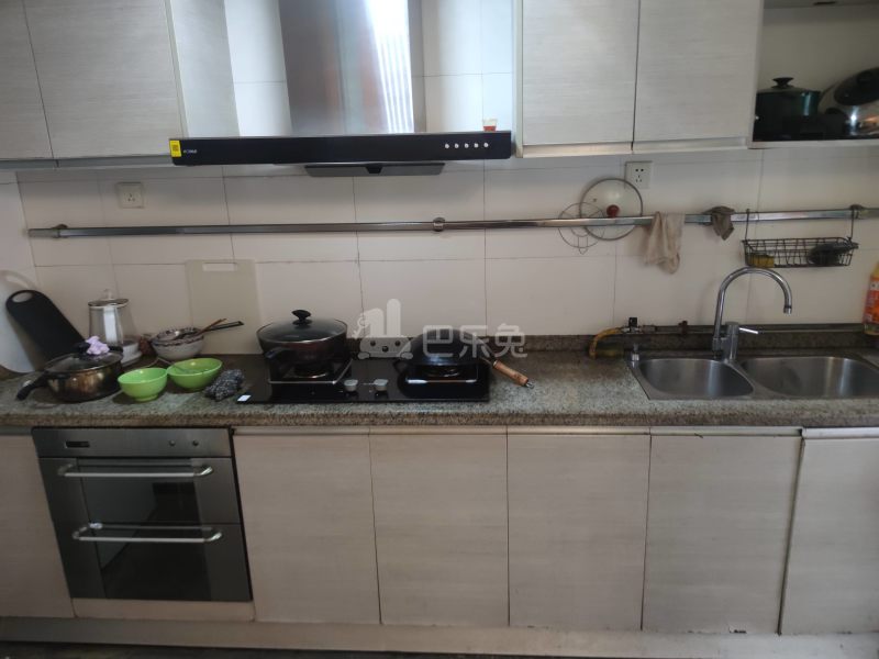 阳光棕榈园9559179厨房图5