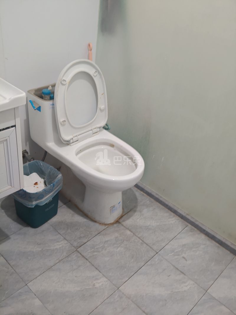 中原商都（殷行路718弄）9561151卫生间图8