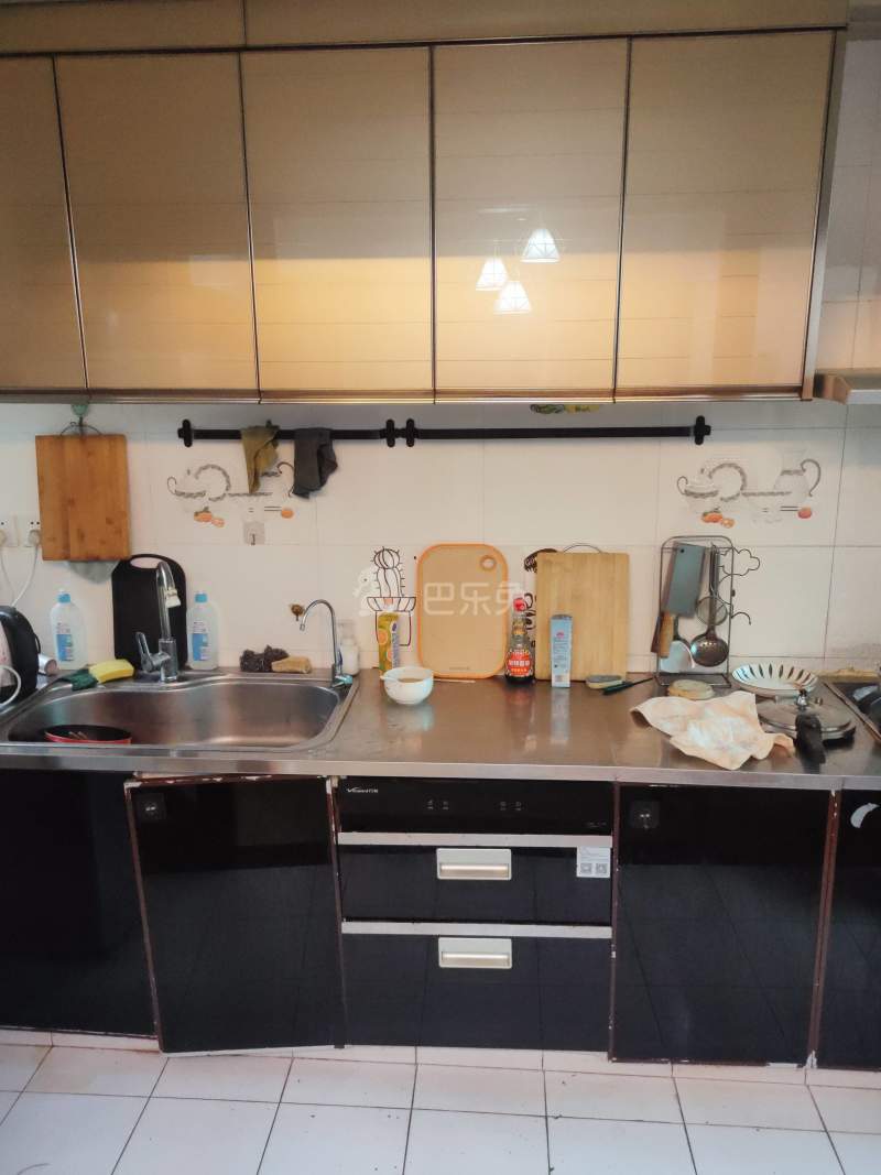 阳光棕榈园9561416厨房图7