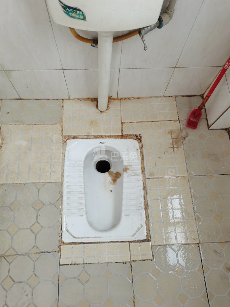 棠溪大围鸭乸塘西街5号9595186卫生间图10