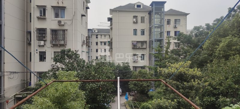 闻喜路251弄小区9595942卧室图1