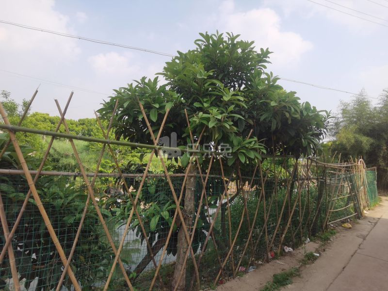 鹤东村沙东三组（民房）9606232周边环境图10