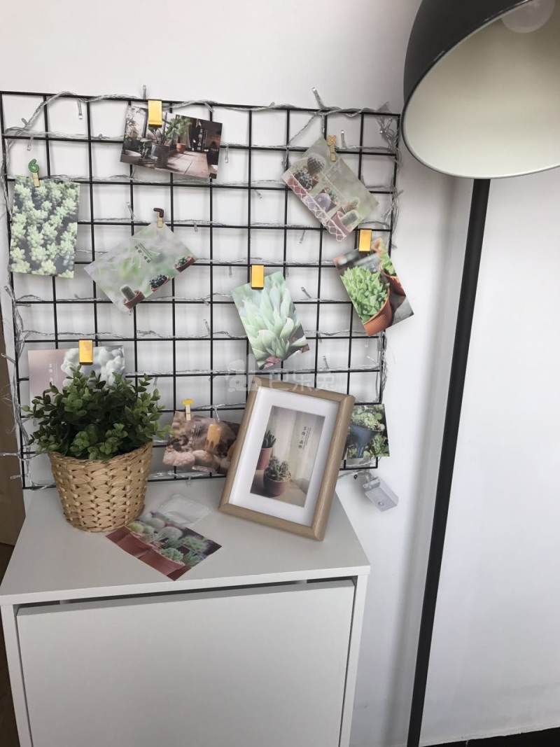 壹+青年社区9616144周边环境图6