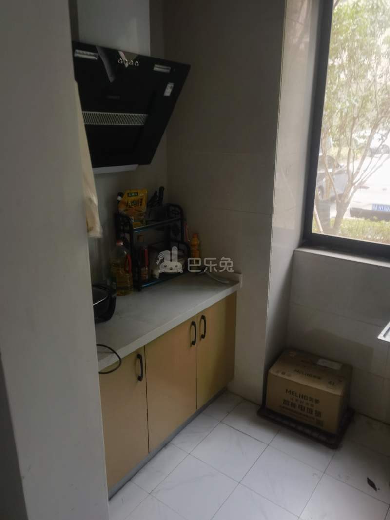 三角丰收湖嘉园二区9625910厨房图5